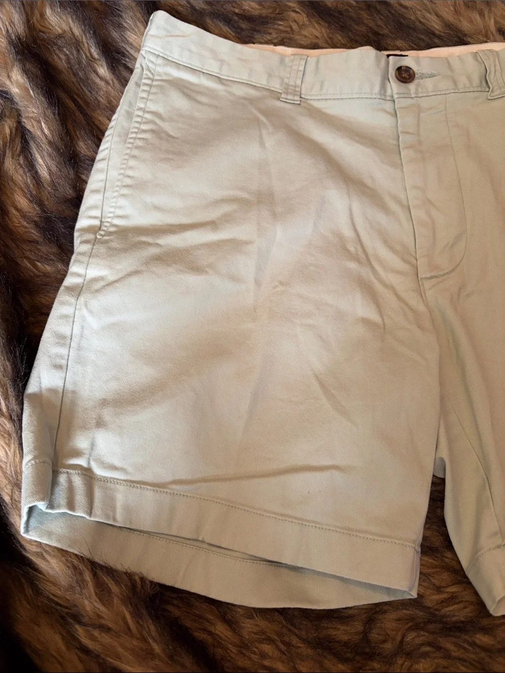 J. Crew 7” Inseam Men's Mint Green Flat Front Chino Shorts Size 33